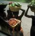 Veggie sellerscropped